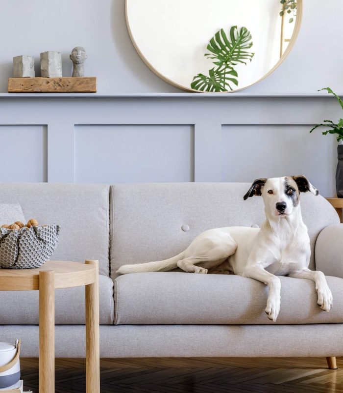 interior-design-of-living-room-1.jpg interior-design-of-living-room-1.jpg